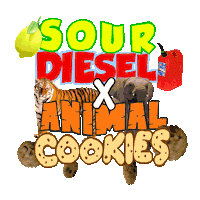 Sticker by commcan