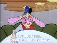 ren and stimpy nicksplat GIF