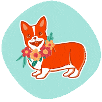 Cat Puppy Sticker by BanfieldPetHospital