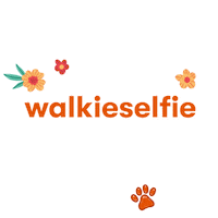 Cat Puppy Sticker by BanfieldPetHospital