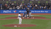 Blue Jays Baseball GIF by Toronto Blue Jays