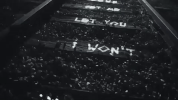 music video sia GIF by LION 