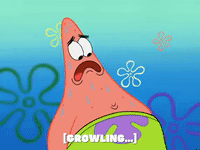 season 5 episode 6 GIF by SpongeBob SquarePants