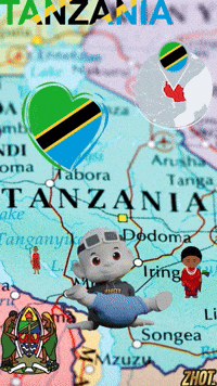 Tanzania Asante GIF by Zhot