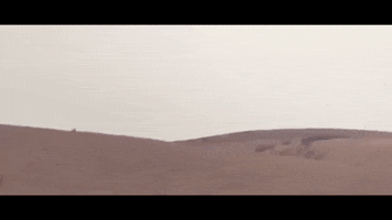 Fly Flying GIF by Airspeeder