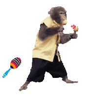 Fun Monkey Sticker