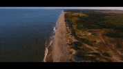 new jersey GIF