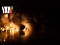 Tipp Nebenberuflich Selbststaendig GIF by FranchiseONE.de