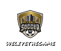 Upsl Sticker by City Soccer FC