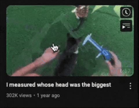 loopy1622 giphyupload GIF