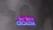 la luz GIF by Hardly Art