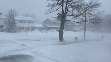 Heavy Snow and Strong Winds Reported in Kingston, Ontario