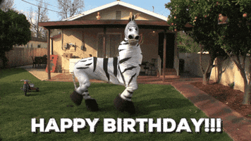 Video gif. People in a two person zebra costume dance in a backyard. They gallop in place as the head looks at us. Text, "Happy birthday!"
