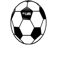 TheLarkLisburn football sport bars lisburn Sticker