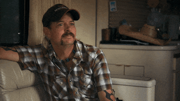 Big Cat Money GIF by NETFLIX