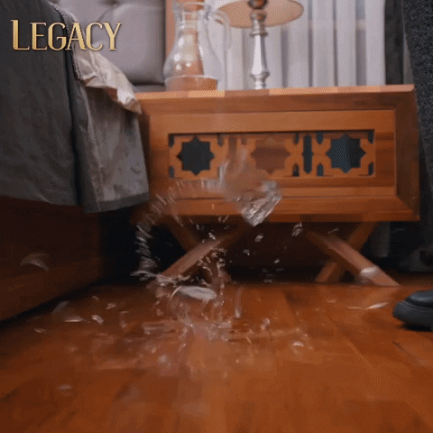 Legacy Emanet GIF by Eccho Rights