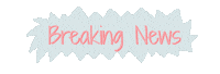 Nachrichten Breaking News Sticker by brittahoehfeld