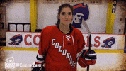 ice hockey fun GIF by Robert Morris University Athletics