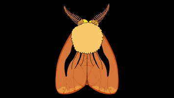 nicki minaj oh snap GIF by Cartuna