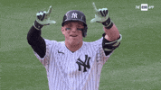 Celebrate New York GIF by YES Network