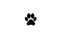 Pata Causa Animal Sticker by Brecho Vegano