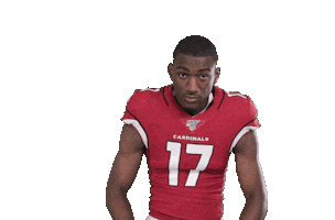 Count It Arizona Cardinals Sticker by NFL