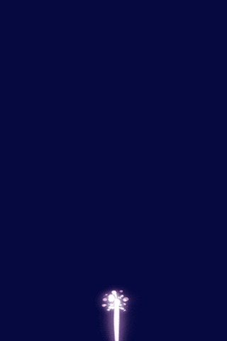 tsai0209 love peace lovely fireworks GIF