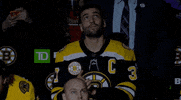 Ice Hockey Sport GIF by NHL