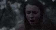Halloween Bird GIF by Crypt TV