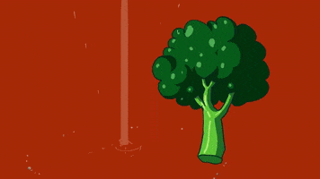 Broccoli Cel Animation GIF by chiara sgatti