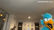 Run Im Late GIF