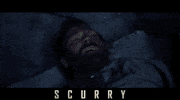Scurry Creature Feature GIF by Signature Entertainment
