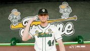 College Baseball Tyler GIF by GreenWave