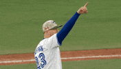 Blue Jays Baseball GIF by Toronto Blue Jays