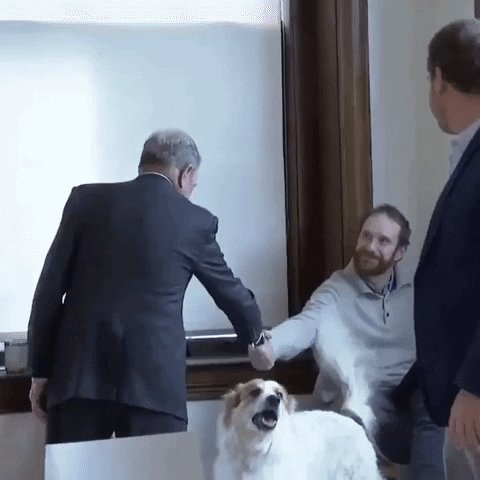 ColoradoPols giphyupload GIF