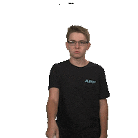 Pickleball Sticker by APP