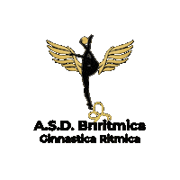 Ginnastica Ritmica Sticker by briritmica