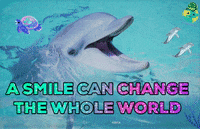 Fun Love GIF by The SOL Foundation