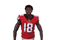 Atlanta Falcons Sticker Sticker by NFL