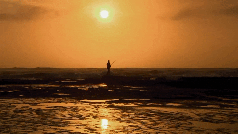 jan-hendrikbotha giphygifmaker GIF