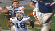 Happy War Eagle GIF by Auburn Tigers