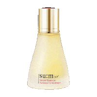 Beauty Flower Sticker by sooryehanofficial