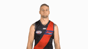 essendonfc jake bombers dons essendon GIF