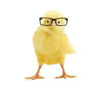 glasses hipster STICKER by imoji
