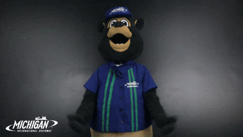 MISpeedway giphygifmaker sad nascar down GIF