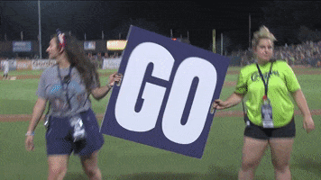 rally go cougars GIF by Kane County Cougars