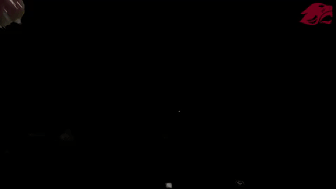 football GIF by CUCougars