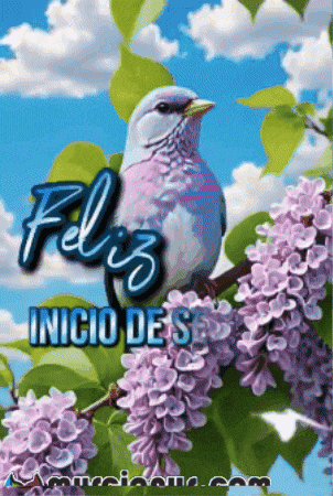 Llena De Semana GIF by Murcianys LLC