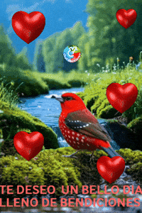 Dia Amigos GIF by Murcianys LLC