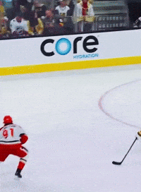 Hockey GIF